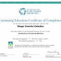 Acercar imagen: certificate 21