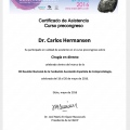 Acercar imagen: certificate 14