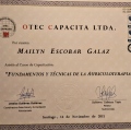 Acercar imagen: certificate 3