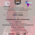 Acercar imagen: certificate 3