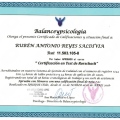 Acercar imagen: certificate 5