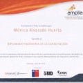 Acercar imagen: certificate 3