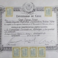 Acercar imagen: certificate 3
