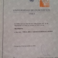 Acercar imagen: certificate 3