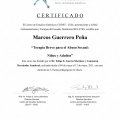 Acercar imagen: certificate 5