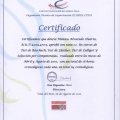 Acercar imagen: certificate 13