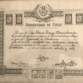 Acercar imagen: certificate 3