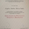 Acercar imagen: certificate 1