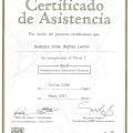Acercar imagen: certificate 1