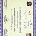 Acercar imagen: certificate 7