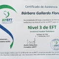 Acercar imagen: certificate 11