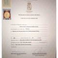 Acercar imagen: certificate 18