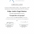 Acercar imagen: certificate 13