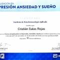 Acercar imagen: certificate 6