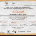 Acercar imagen: certificate 18