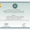 Acercar imagen: certificate 25
