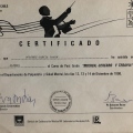 Acercar imagen: certificate 26
