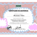 Acercar imagen: certificate 2