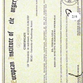 Acercar imagen: certificate 9