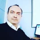  Cristián Flores Escalona