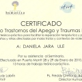 Acercar imagen: certificate 5