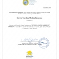 Acercar imagen: certificate 2