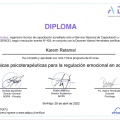 Acercar imagen: certificate 5