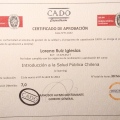 Acercar imagen: certificate 8