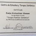 Acercar imagen: certificate 12