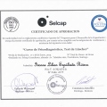 Acercar imagen: certificate 8