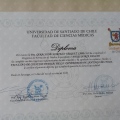 Acercar imagen: certificate 6