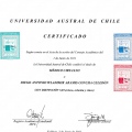 Acercar imagen: certificate 31