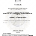 Acercar imagen: certificate 3