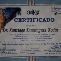 Acercar imagen: certificate 15