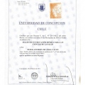 Acercar imagen: certificate 7