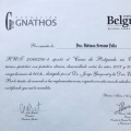 Acercar imagen: certificate 8