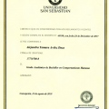 Acercar imagen: certificate 3