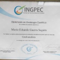 Acercar imagen: certificate 7