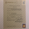 Acercar imagen: certificate 3