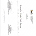 Acercar imagen: certificate 4