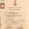 Acercar imagen: certificate 7
