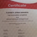 Acercar imagen: certificate 9