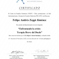 Acercar imagen: certificate 10