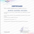 Acercar imagen: certificate 29
