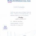 Acercar imagen: certificate 11