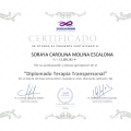 Acercar imagen: certificate 11