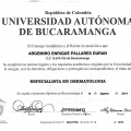 Acercar imagen: certificate 2