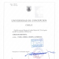 Acercar imagen: certificate 2