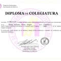 Acercar imagen: certificate 4