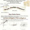 Acercar imagen: certificate 3